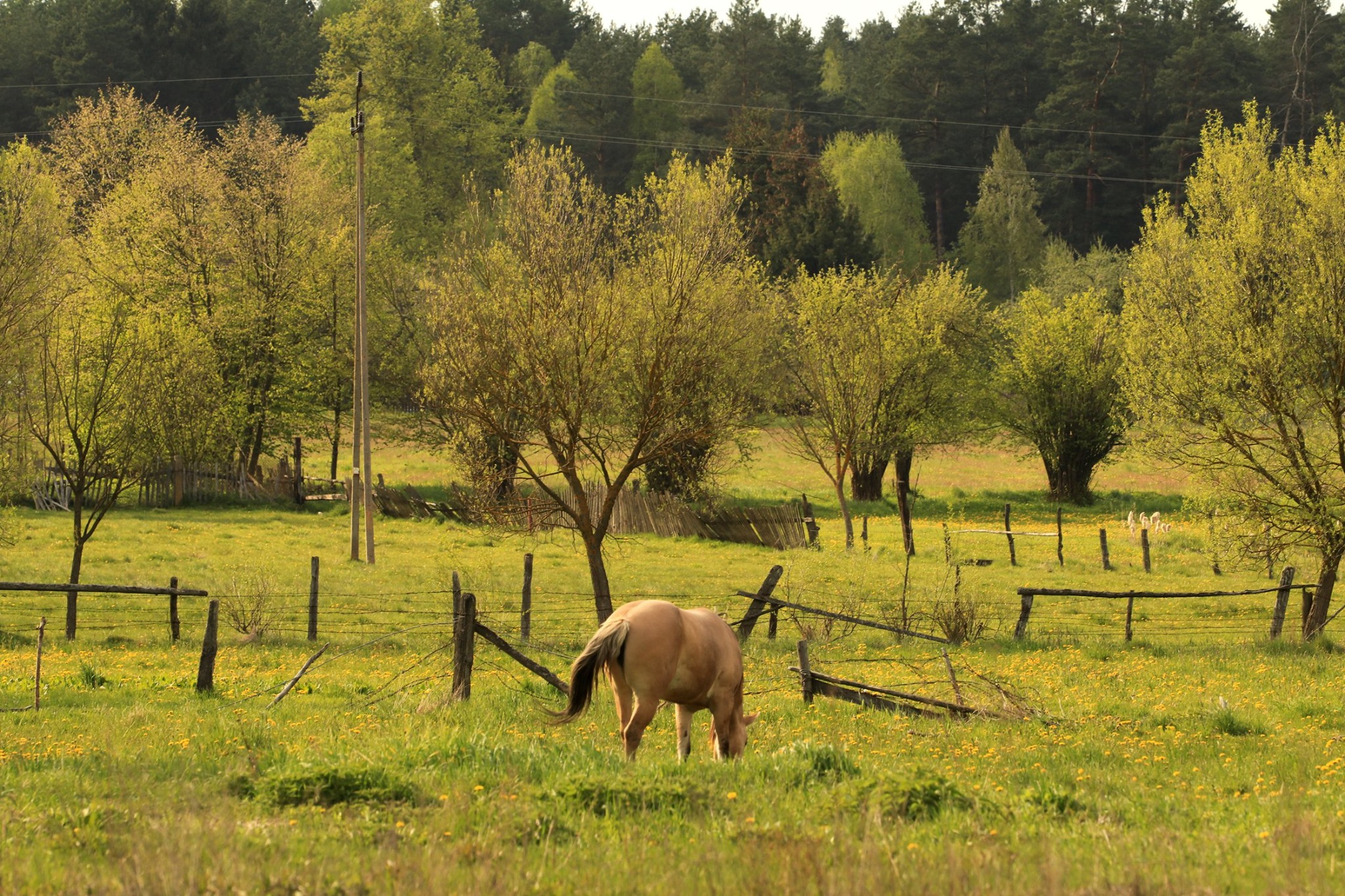 Klimaty_Podlasia_04.jpg
